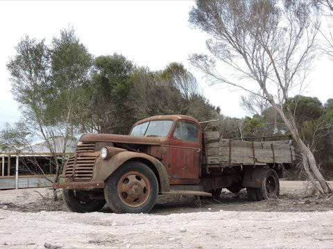 Emu Ridge Eucalyptus Pty Ltd - Accommodation Coffs Harbour 2