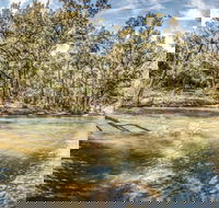 Flea Creek Picnic Area - Accommodation Coffs Harbour