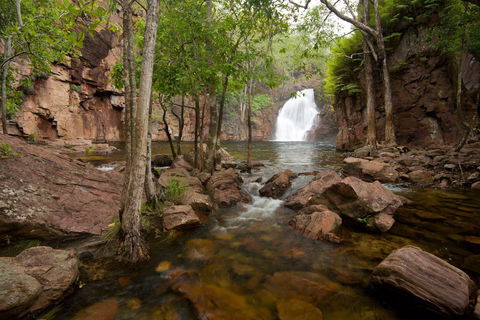 Florence Falls - Accommodation Coffs Harbour 0