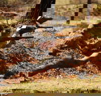 Freycinet Paintball and Campground - Accommodation Coffs Harbour