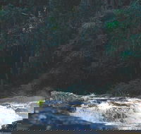 Gardners Falls - Accommodation Coffs Harbour