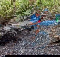 George Boyd picnic area - Accommodation Coffs Harbour