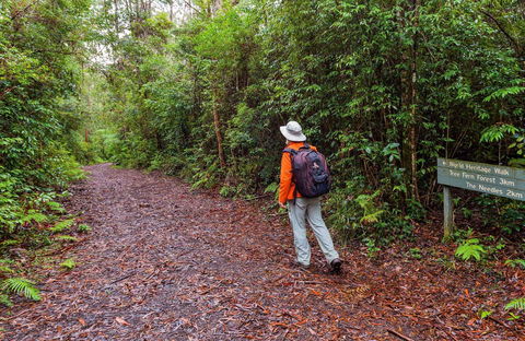 Gibraltar-Washpool World Heritage Walk - Accommodation Coffs Harbour 0