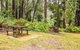 Goodenia Rainforest Picnic Area - thumb 0