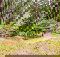 Goodenia Rainforest picnic area - Accommodation Coffs Harbour