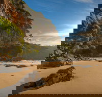 Greenglade picnic area - Accommodation Coffs Harbour