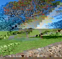 Historic Dry Stone Walls Kiama - Accommodation Coffs Harbour