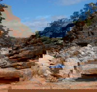 Homestead Gorge trail - Accommodation Coffs Harbour