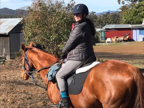 Horse Riding Tasmania - Accommodation Coffs Harbour 1