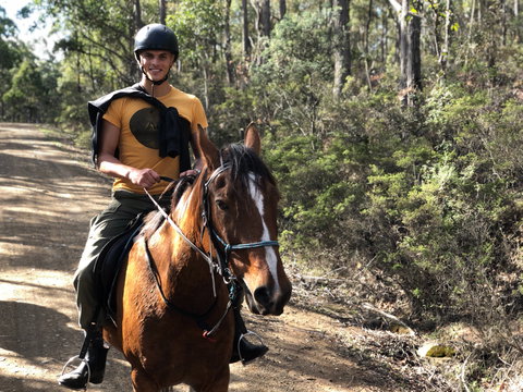 Horse Riding Tasmania - Accommodation Coffs Harbour 2