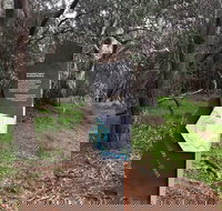 Horseshoe Lagoon Reserve - Accommodation Coffs Harbour