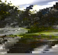 Hunter Wetlands Centre - Accommodation Coffs Harbour