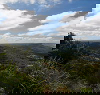Illawarra Escarpment State Conservation Area - Accommodation Coffs Harbour
