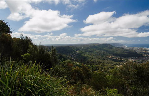 Illawarra Escarpment State Conservation Area - Accommodation Coffs Harbour 0