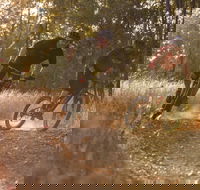 Kholo Gardens Trails - Accommodation Coffs Harbour