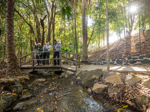 Kholo Gardens Trails - Accommodation Coffs Harbour 1