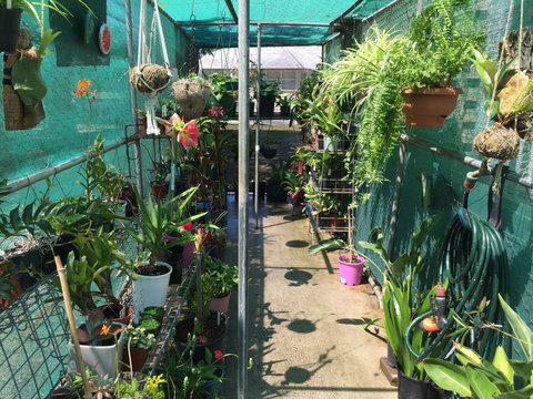 Kilcoy Craft Market - Accommodation Coffs Harbour 1