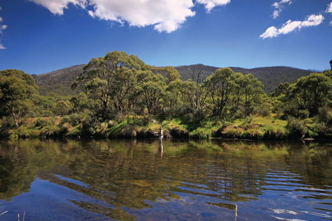 Kosciuszko National Park - Accommodation Coffs Harbour 1