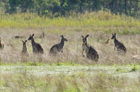 Kosciuszko National Park - Accommodation Coffs Harbour 2