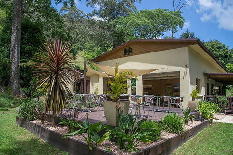 Kramer Photography Rainforest Gallery - Accommodation Coffs Harbour 2