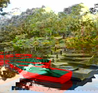 Lane Cove National Park - Accommodation Coffs Harbour