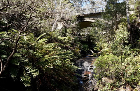 Leura Cascades - Accommodation Coffs Harbour 2