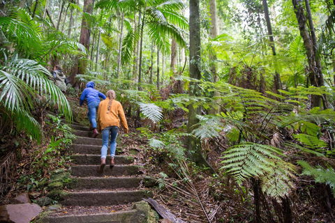 Maiala - Accommodation Coffs Harbour 1