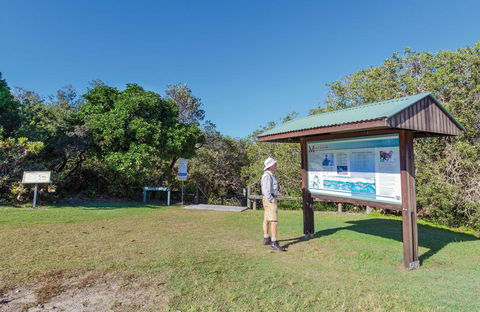 Mara Creek Picnic Area - Accommodation Coffs Harbour 0