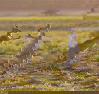 Mary River Area - Accommodation Coffs Harbour