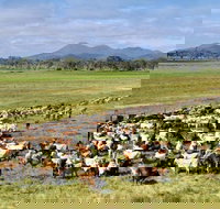 Marlborough - Accommodation Coffs Harbour