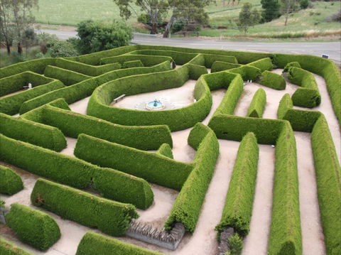 Mintaro Maze - Accommodation Coffs Harbour 0