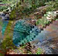 Mobong walking track - Accommodation Coffs Harbour