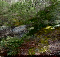 Mongarlowe River picnic area - Accommodation Coffs Harbour