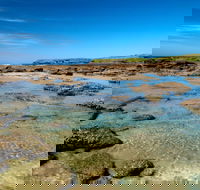 Moonee Beach trail - Accommodation Coffs Harbour