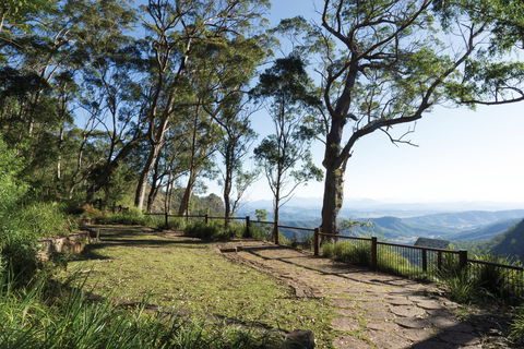 Morans Falls Track, Lamington National Park - Accommodation Coffs Harbour 1