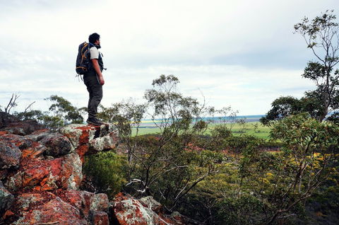 Mount Matilda - Accommodation Coffs Harbour 0