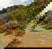 Mountain Biking Trails - Accommodation Coffs Harbour