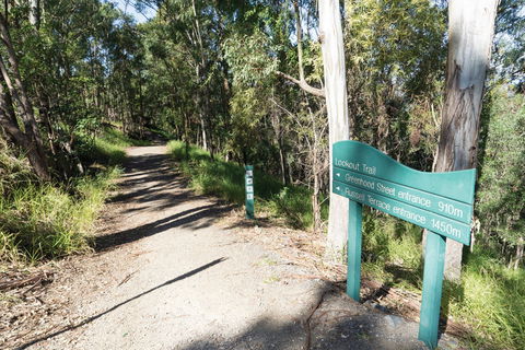 Mt Coot-tha Tourist Drive - Accommodation Coffs Harbour 0