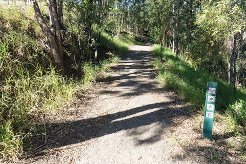 Mt Coot-tha Tourist Drive - Accommodation Coffs Harbour 2