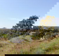 Mt Piper Nature Conservation Reserve - Accommodation Coffs Harbour