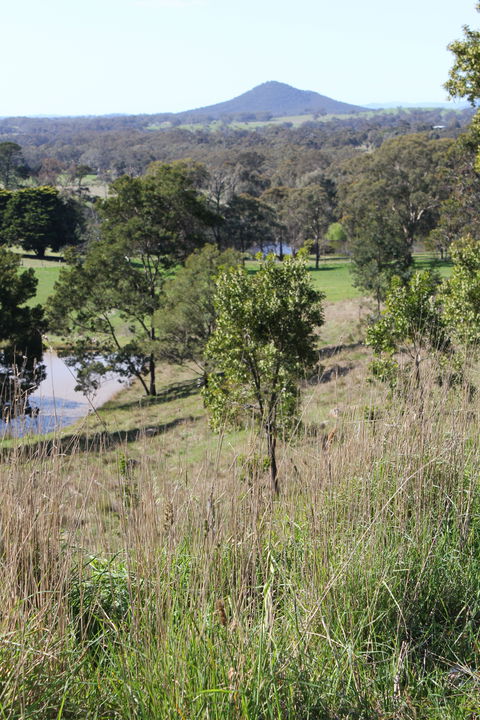 Mt Piper Nature Conservation Reserve - Accommodation Coffs Harbour 1