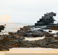 Mystery Bay Short Walk - Accommodation Coffs Harbour