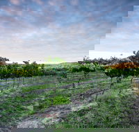 Nature and Foodies Trail - Accommodation Coffs Harbour