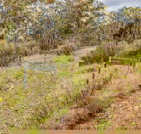 Old Mountain Road Walking Track - Accommodation Coffs Harbour