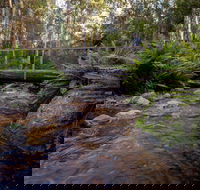 O'Neills Creek picnic reserve - Accommodation Coffs Harbour