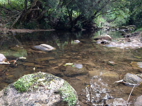 Otford Farm Horse Riding - Accommodation Coffs Harbour 2