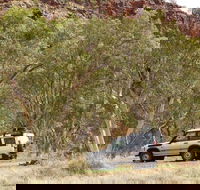 Owen Springs Reserve - Accommodation Coffs Harbour