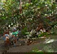 Palms picnic area - Accommodation Coffs Harbour