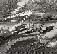 Pioneer Park - Accommodation Coffs Harbour