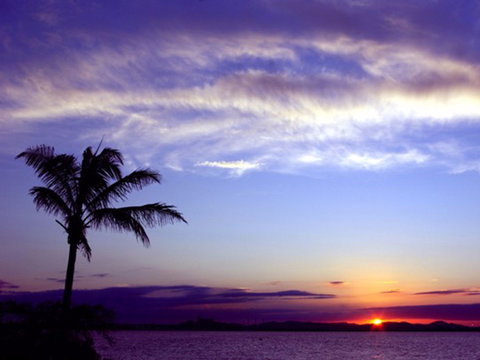 Quoin Island Retreat And Turtle Rehabilitation Centre - Accommodation Coffs Harbour 0